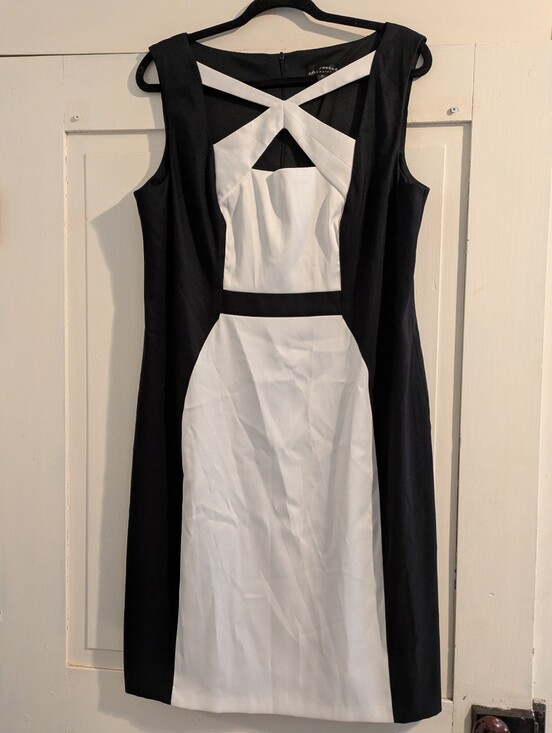 connected apparel Dresses & Skirts - Connected Apparel Black & White Colorblocked Dress 16